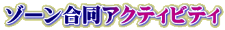 ゾーン合同アクティビティ